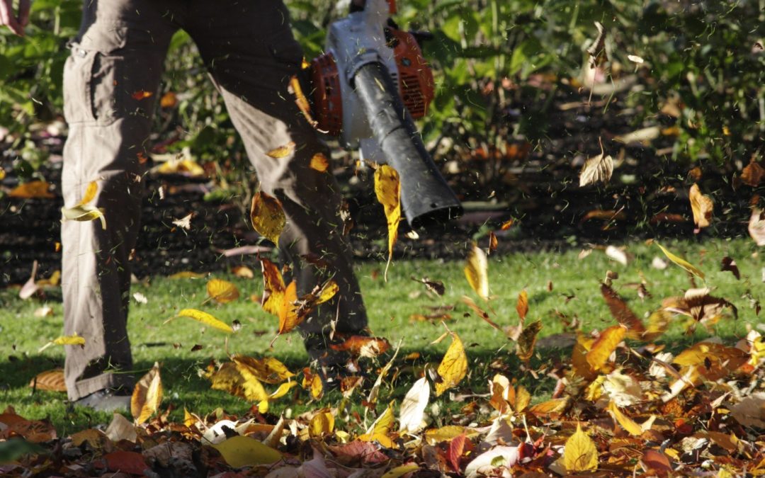 Leaf blowers are like hot pans..not a matter of anxiety but of safety